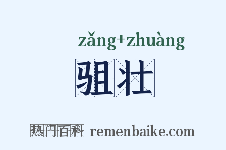驵壮是什么意思的图片